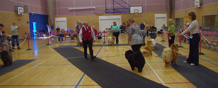 The Chow Chow Club of Wales