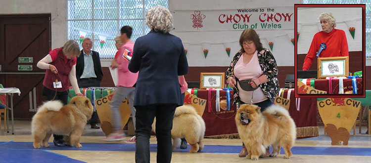 The Chow Chow Club of Wales