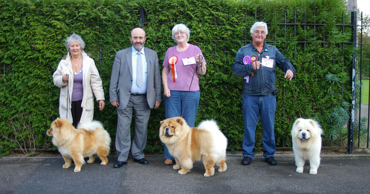 The Chow Chow Club of Wales