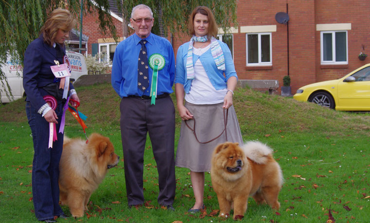 The Chow Chow Club of Wales