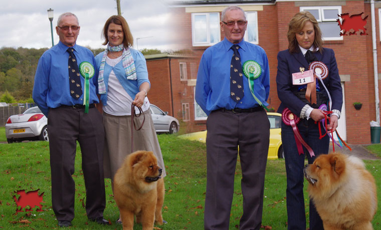 The Chow Chow Club of Wales