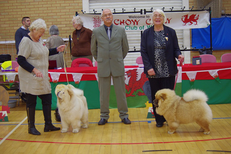 The Chow Chow Club of Wales