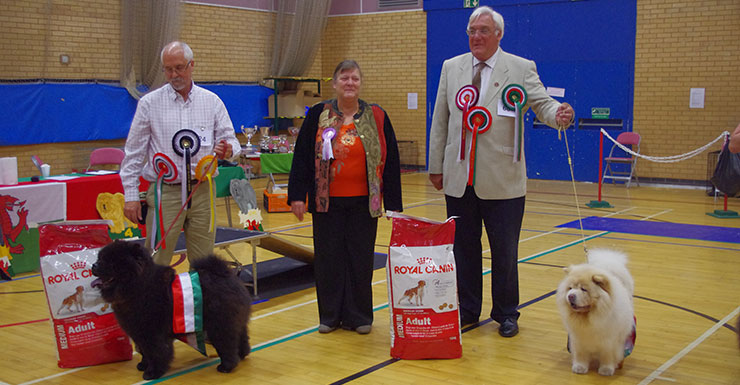 The Chow Chow Club of Wales