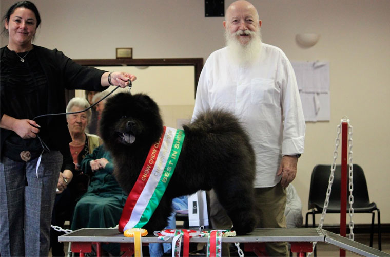 The Chow Chow Club of Wales