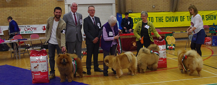 The Chow Chow Club of Wales