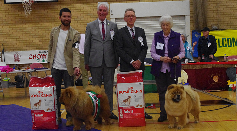 The Chow Chow Club of Wales