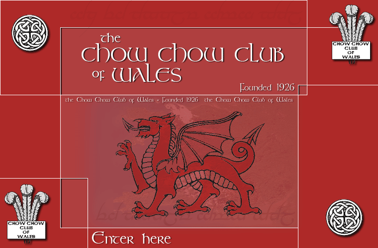 The Chow Chow Club of Wales