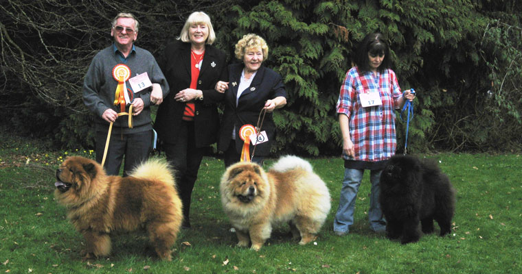 The Chow Chow Club of Wales