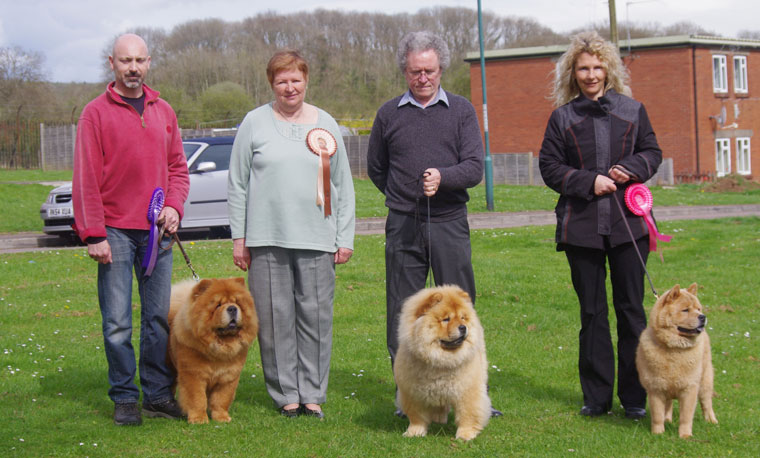 The Chow Chow Club of Wales