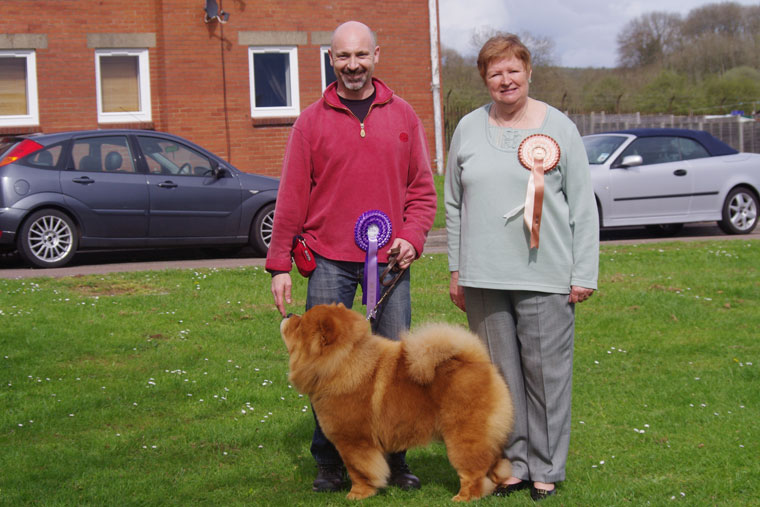 The Chow Chow Club of Wales