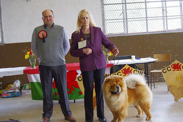 The Chow Chow Club of Wales