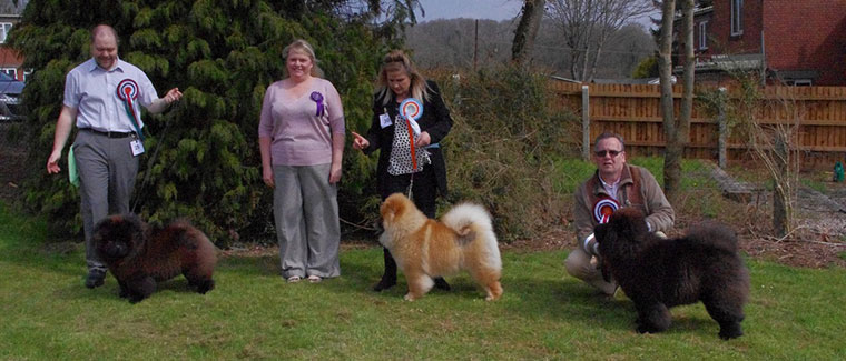 The Chow Chow Club of Wales