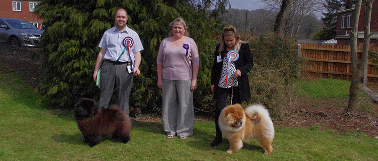 The Chow Chow Club of Wales