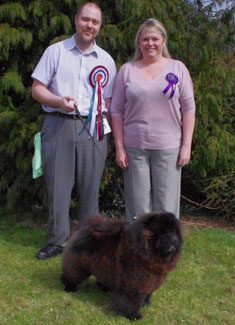 The Chow Chow Club of Wales