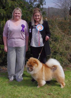 The Chow Chow Club of Wales