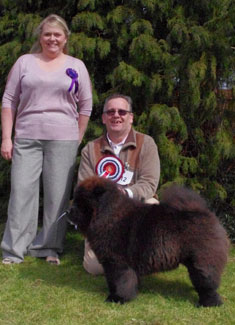 The Chow Chow Club of Wales